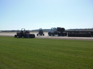 sod farm 